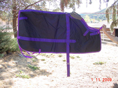 blanket